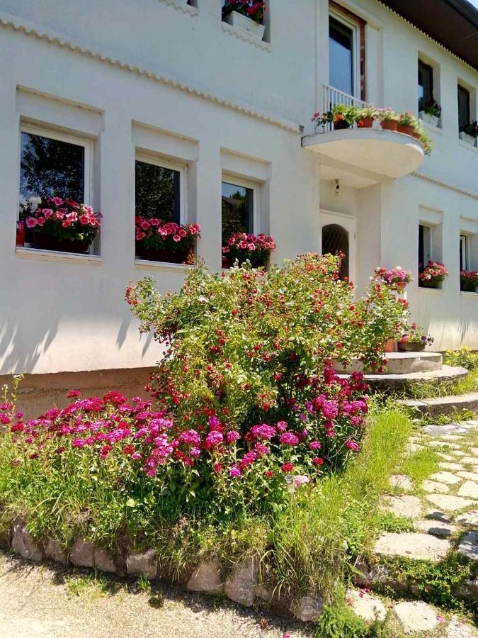 Lalic Rooms Szarajevó Kültér fotó